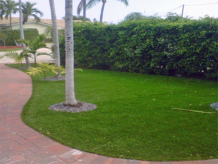 Grass Carpet Charter Oak, California Landscape Design, Front Yard Landscaping Ideas