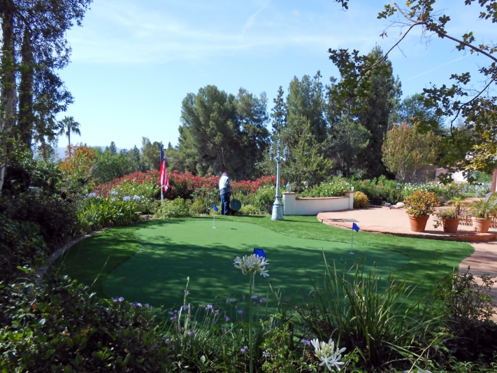 Grass Carpet Colton, California Lawn And Garden, Backyard Landscaping