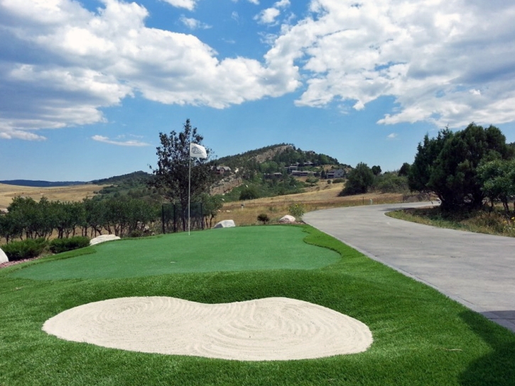 Grass Carpet Greenfield, California Office Putting Green, Front Yard Ideas