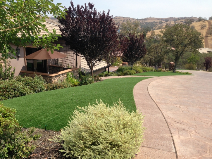 Grass Carpet Industry, California Lawn And Landscape, Front Yard Landscaping