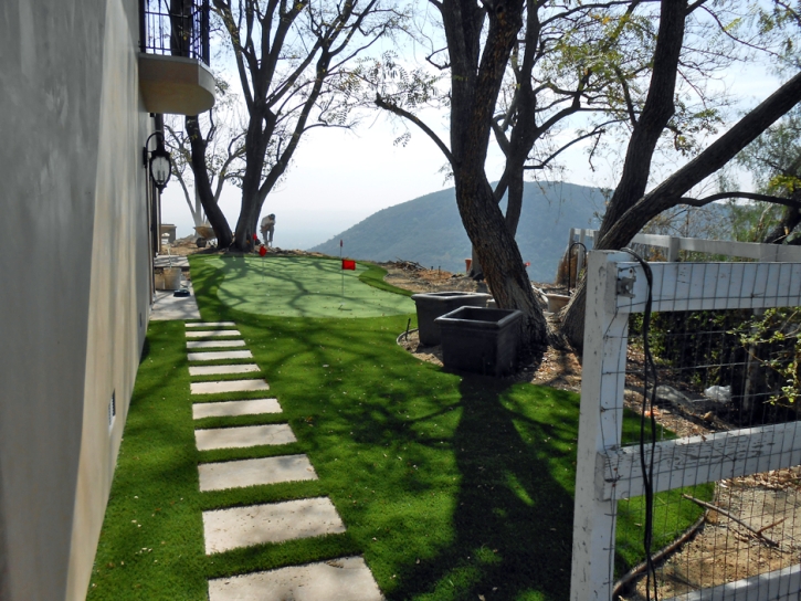 Grass Carpet Isla Vista, California Backyard Playground, Backyard