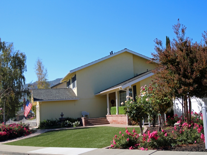 Grass Carpet La Verne, California City Landscape, Front Yard