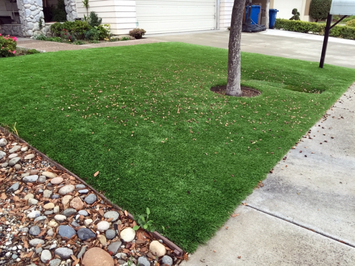 Grass Carpet Laguna Hills, California Landscape Photos, Small Front Yard Landscaping