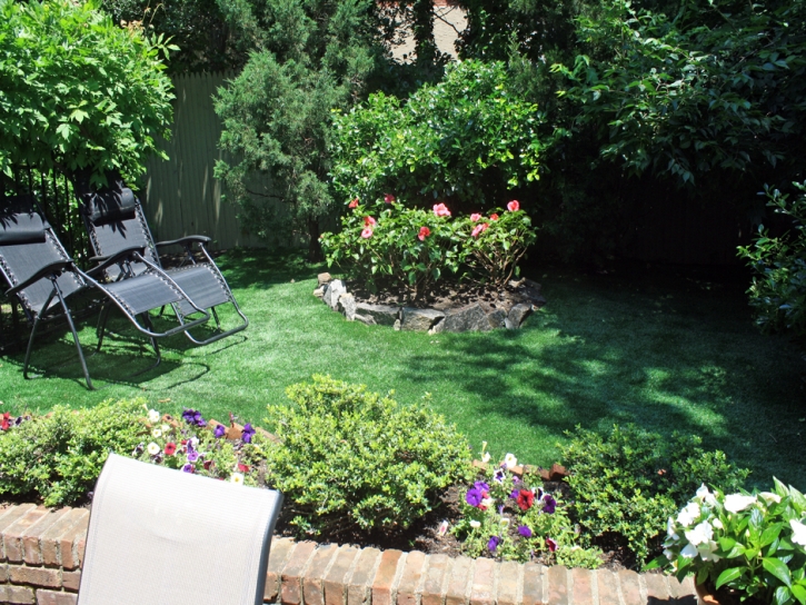 Grass Carpet Mission Viejo, California Home And Garden, Backyard Ideas