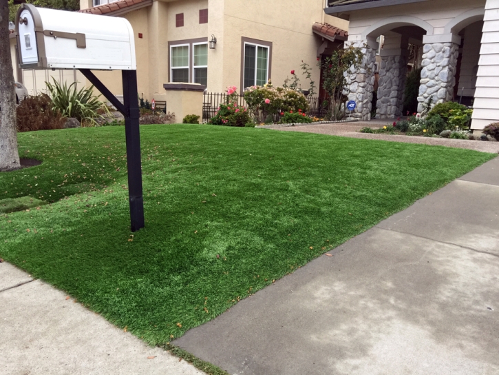 Grass Carpet Oildale, California City Landscape, Front Yard Landscaping Ideas