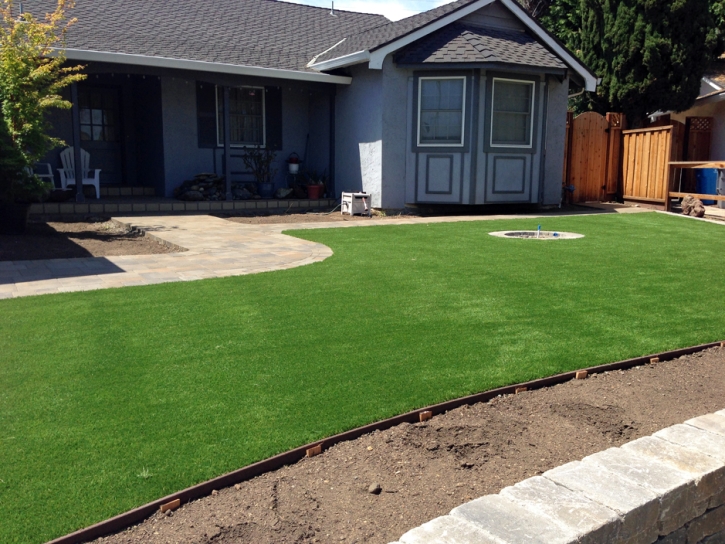 Grass Carpet Pico Rivera, California Design Ideas, Front Yard Ideas