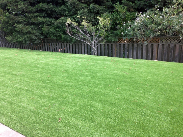 Grass Carpet Torrance, California Landscape Rock, Beautiful Backyards