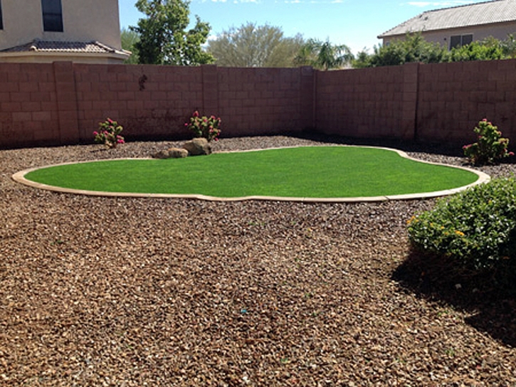 Grass Carpet Wasco, California Landscape Design, Backyard Makeover