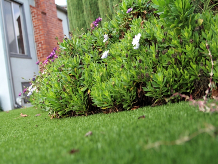 Grass Installation Tustin, California Landscaping Business, Front Yard Landscaping Ideas