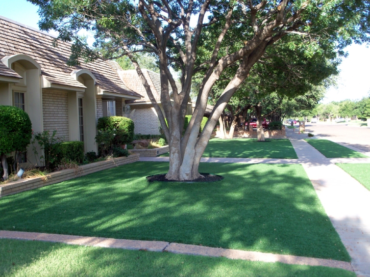 Grass Turf Avalon, California Rooftop, Front Yard Ideas