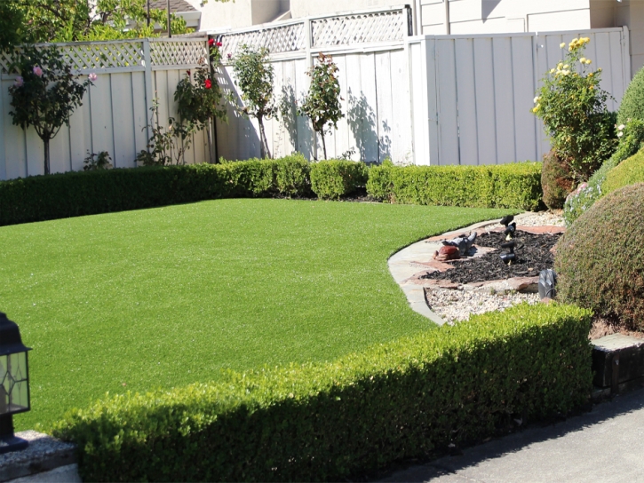 Grass Turf Culver City, California Landscaping, Front Yard Design