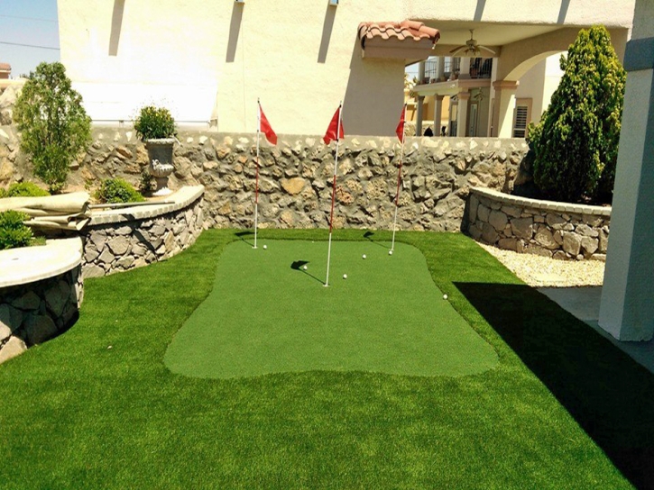 Grass Turf Dana Point, California Putting Green Grass, Backyard Designs