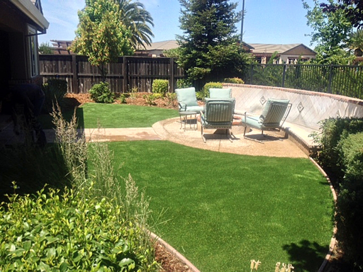 Grass Turf Ford City, California Landscape Design, Backyard Designs