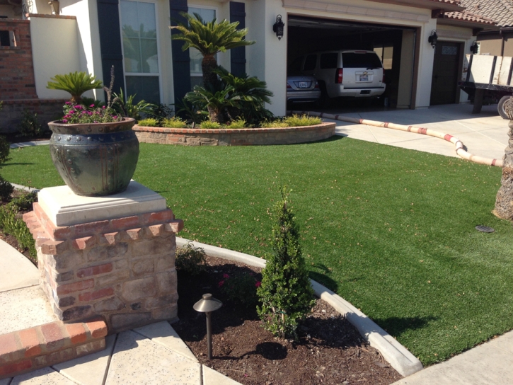 Grass Turf Hollywood, California Landscape Ideas, Front Yard Design