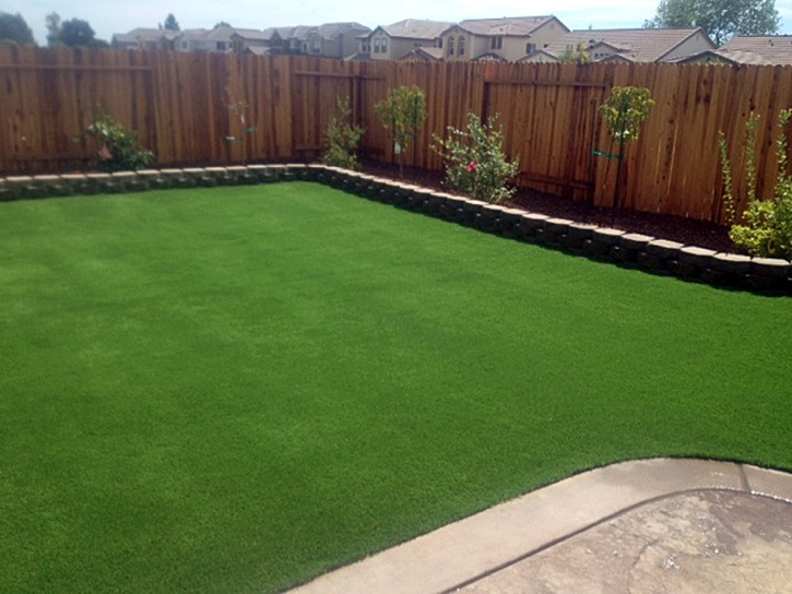 Grass Turf Mayflower Village, California Garden Ideas, Backyard Design