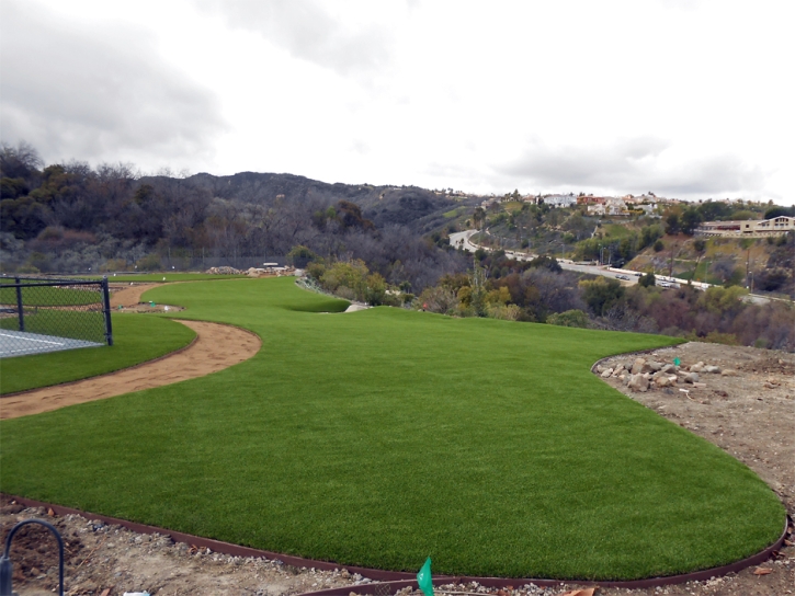 Grass Turf Norco, California Lawn And Garden