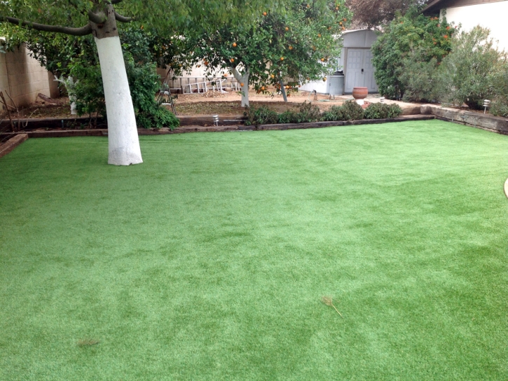 Grass Turf Oxnard Shores, California Lawn And Garden, Backyard Garden Ideas