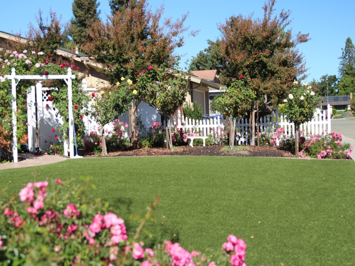 Grass Turf Pico Rivera, California Home And Garden, Front Yard Landscaping