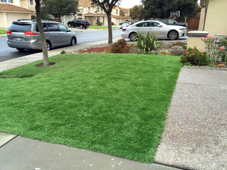 Grass Turf Shafter, California City Landscape, Front Yard Design