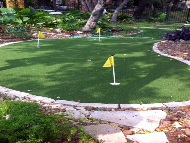 Grass Turf South Gate, California Backyard Playground, Backyard Ideas