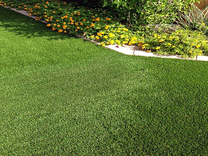 Green Lawn Artesia, California Backyard Deck Ideas, Front Yard Ideas