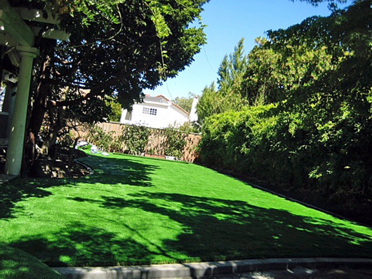 Green Lawn Burbank, California Backyard Playground, Backyard Designs