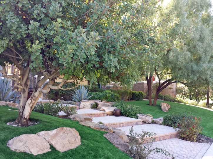 Green Lawn Chino, California Design Ideas, Beautiful Backyards