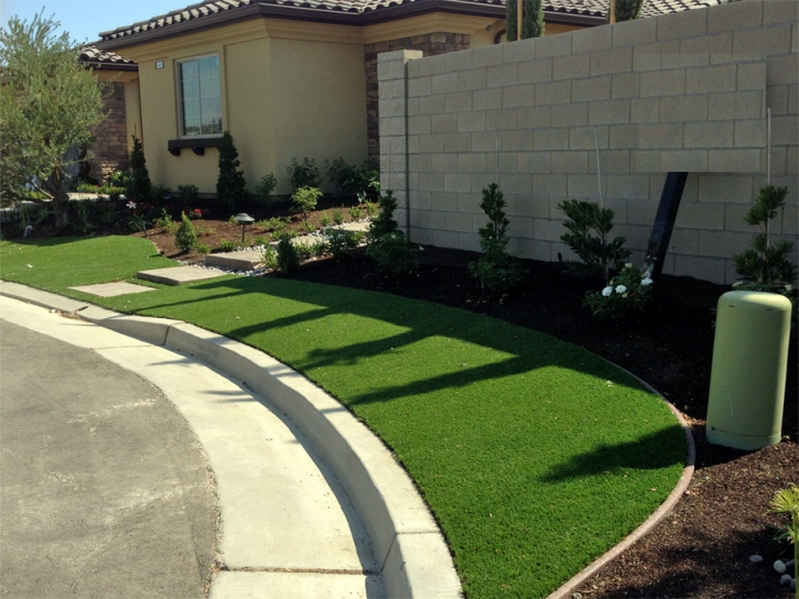 Green Lawn El Segundo, California Rooftop, Front Yard Ideas