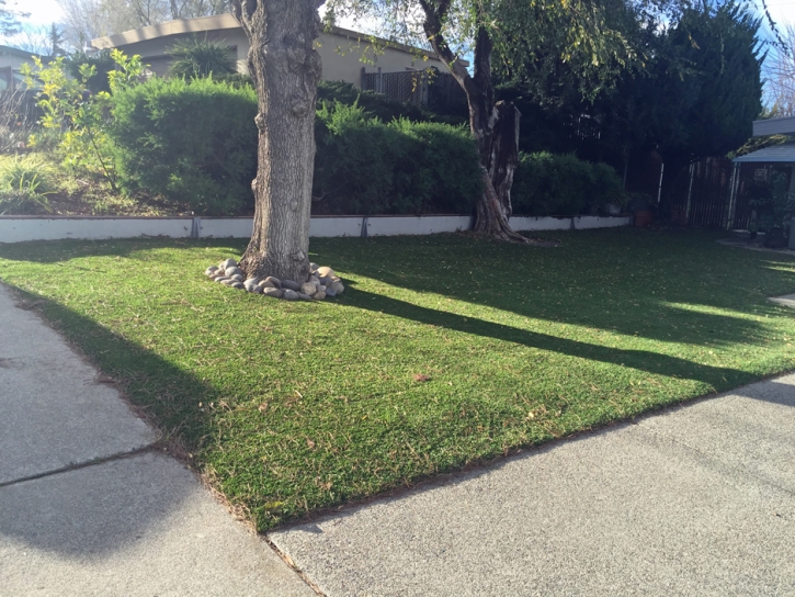 Green Lawn Highland, California Backyard Deck Ideas, Front Yard Design