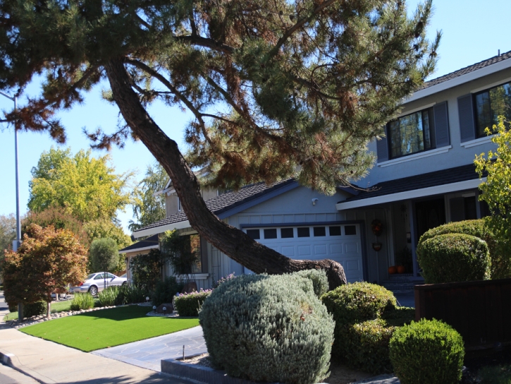 Green Lawn Woodcrest, California Lawns, Front Yard Design