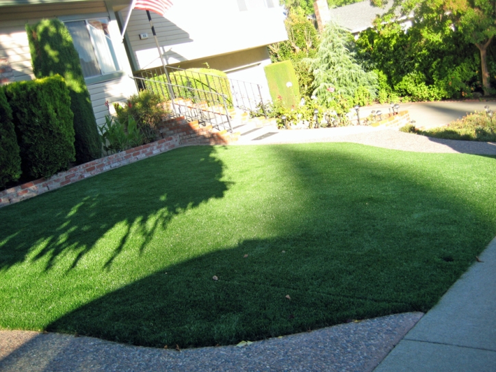 How To Install Artificial Grass East Los Angeles, California Rooftop, Front Yard Design