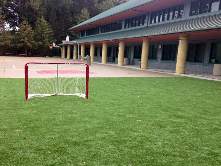 How To Install Artificial Grass Mountain Mesa, California Sports Athority, Commercial Landscape