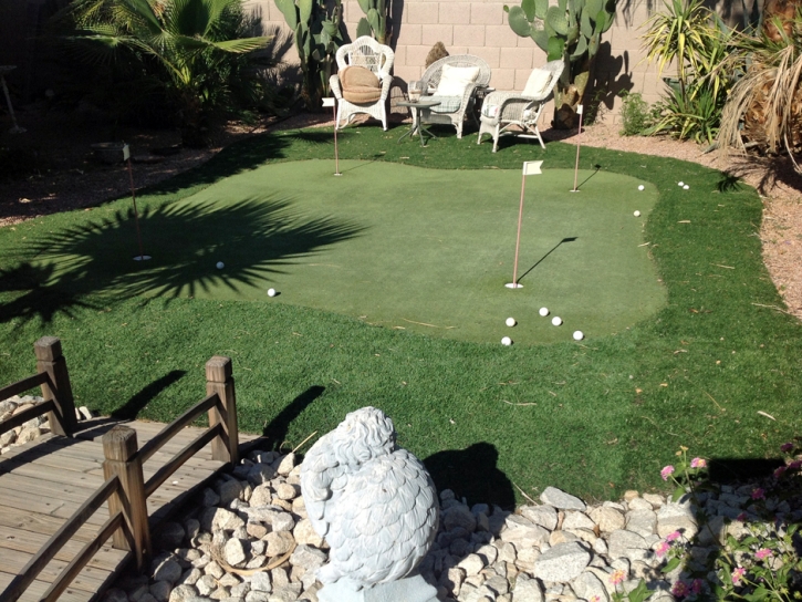 Lawn Services Valencia, California Putting Green Grass, Backyards