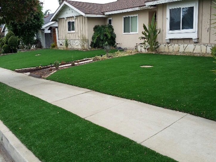 Outdoor Carpet Fillmore, California Landscape Design, Front Yard