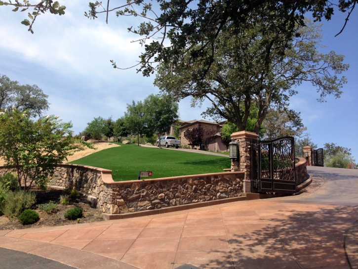 Outdoor Carpet Lawndale, California Backyard Playground, Small Front Yard Landscaping