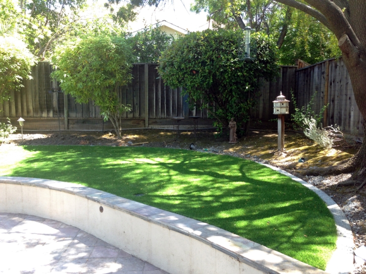 Outdoor Carpet Maricopa, California Landscape Ideas, Commercial Landscape