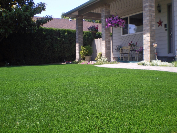 Outdoor Carpet McKittrick, California Landscape Design, Front Yard Design