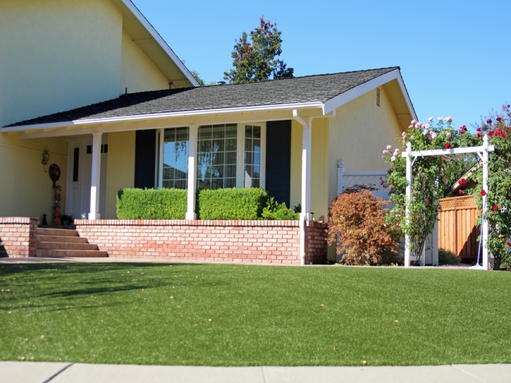 Outdoor Carpet Mentone, California Landscaping Business, Front Yard Landscaping Ideas