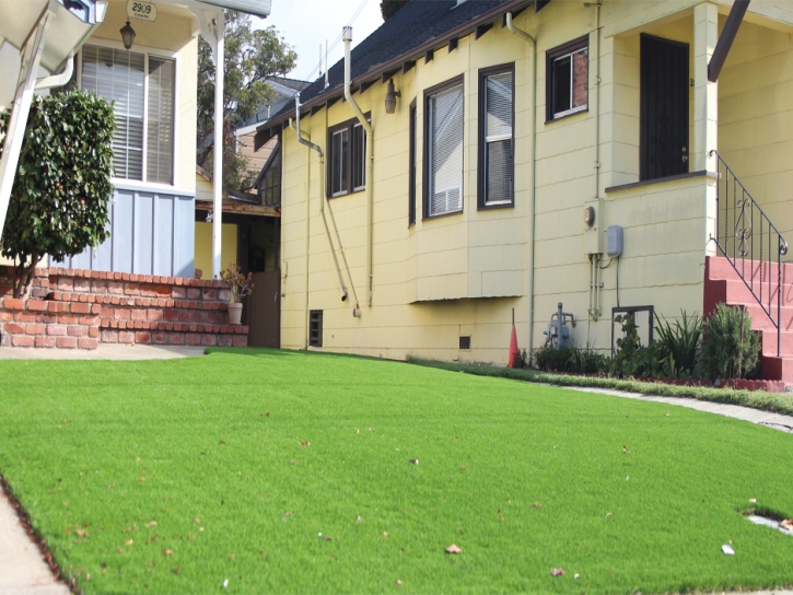 Outdoor Carpet Ontario, California Design Ideas, Front Yard