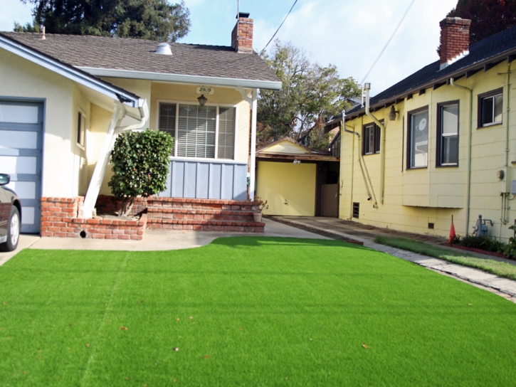 Outdoor Carpet Santa Ana, California Lawns, Front Yard