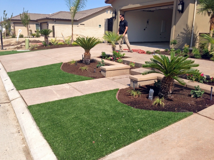 Outdoor Carpet Vincent, California Design Ideas, Front Yard Landscape Ideas