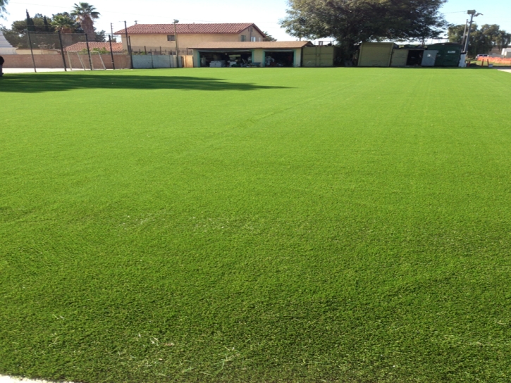 Plastic Grass Bear Valley Springs, California Lawn And Landscape, Recreational Areas