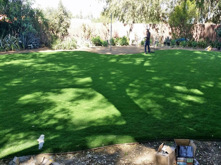 Plastic Grass Carpinteria, California City Landscape, Backyard Landscaping