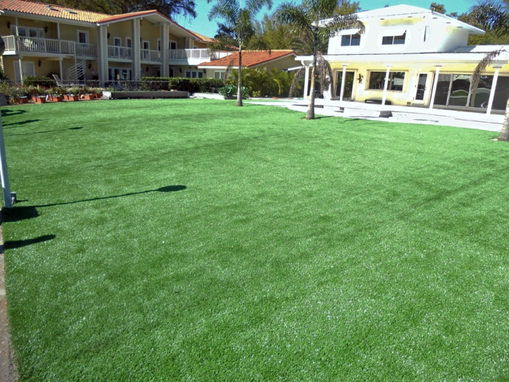 Plastic Grass Chino Hills, California Lawn And Garden, Commercial Landscape