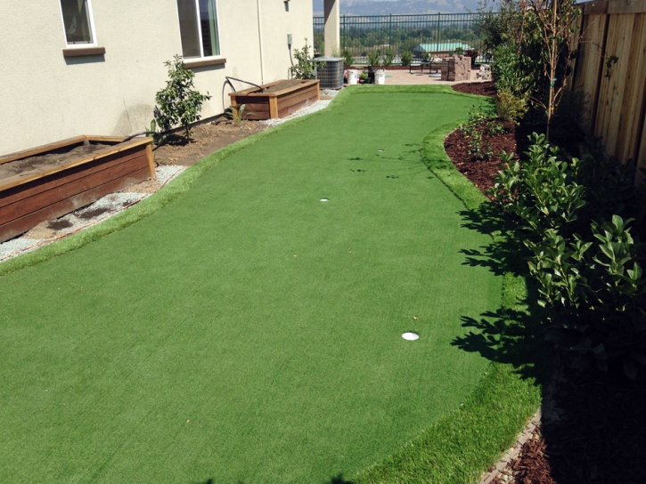 Plastic Grass Foothill Ranch, California Backyard Putting Green, Backyard Garden Ideas