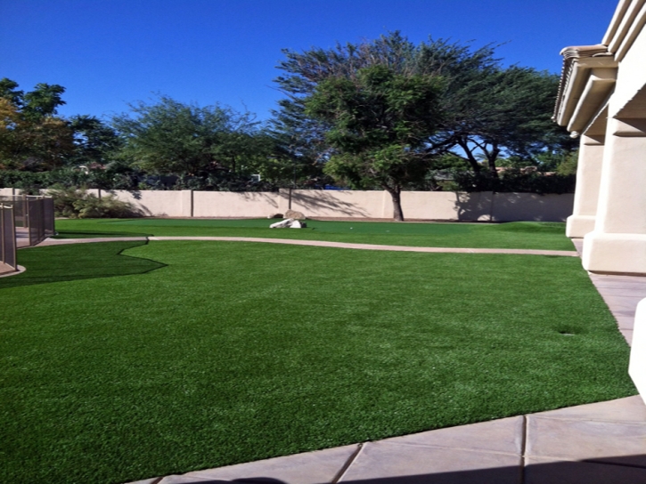 Plastic Grass Lakewood, California Gardeners, Front Yard