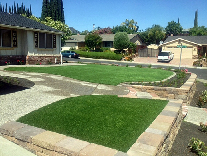 Plastic Grass Los Alamitos, California City Landscape