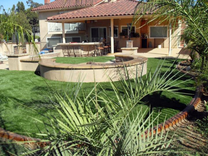 Plastic Grass San Luis Obispo, California Landscape Photos, Backyard Landscape Ideas