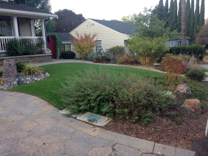 Plastic Grass South El Monte, California Lawns, Front Yard Landscaping Ideas