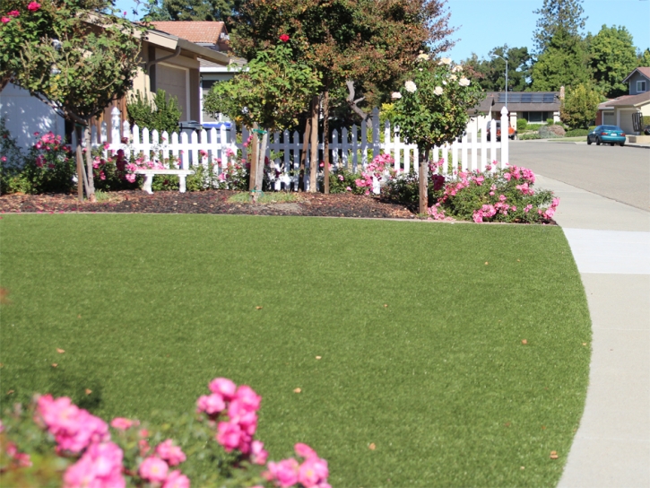 Plastic Grass Universal City, California Rooftop, Front Yard